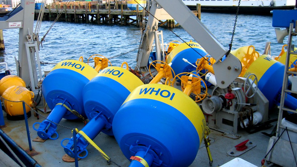 Whale acoustic buoys at NEG